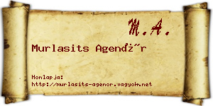 Murlasits Agenór névjegykártya